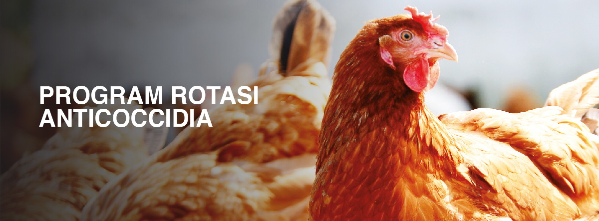 Zoetis Indonesia Zoetis Id