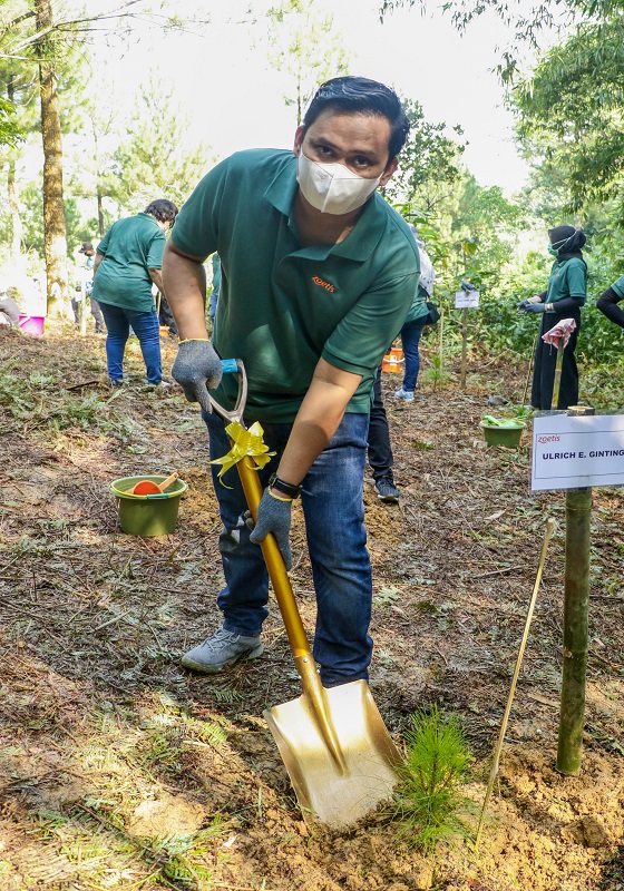 Zoetis planting trees