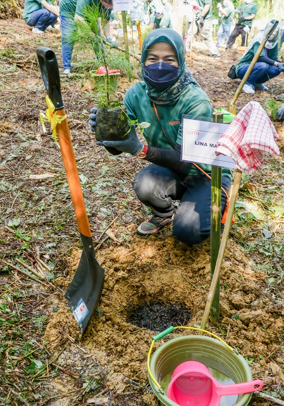 Zoetis planting trees